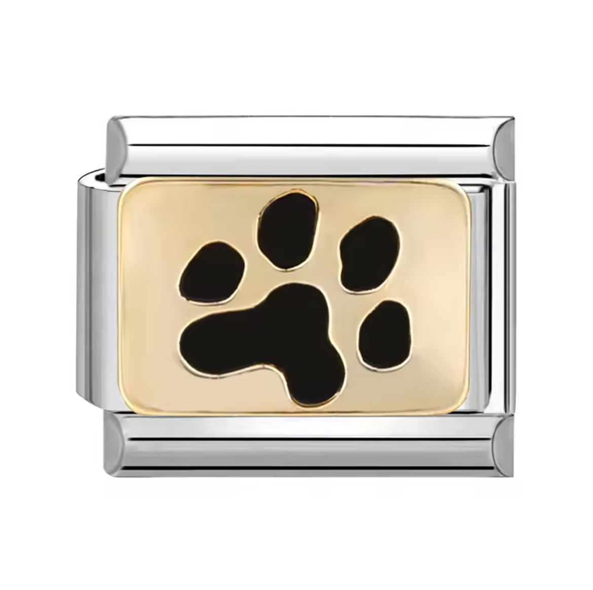 Dog paw