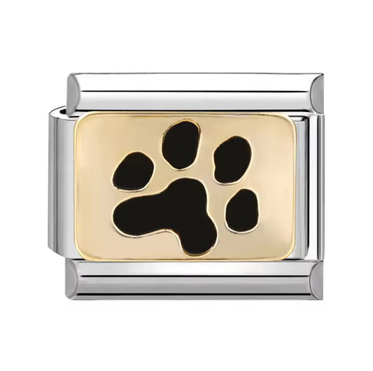 Dog paw